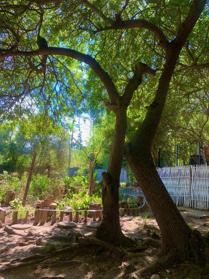 The Little Hideaway Guesthouse Стелленбос Екстер'єр фото